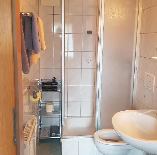 فندق Zierer لييزين